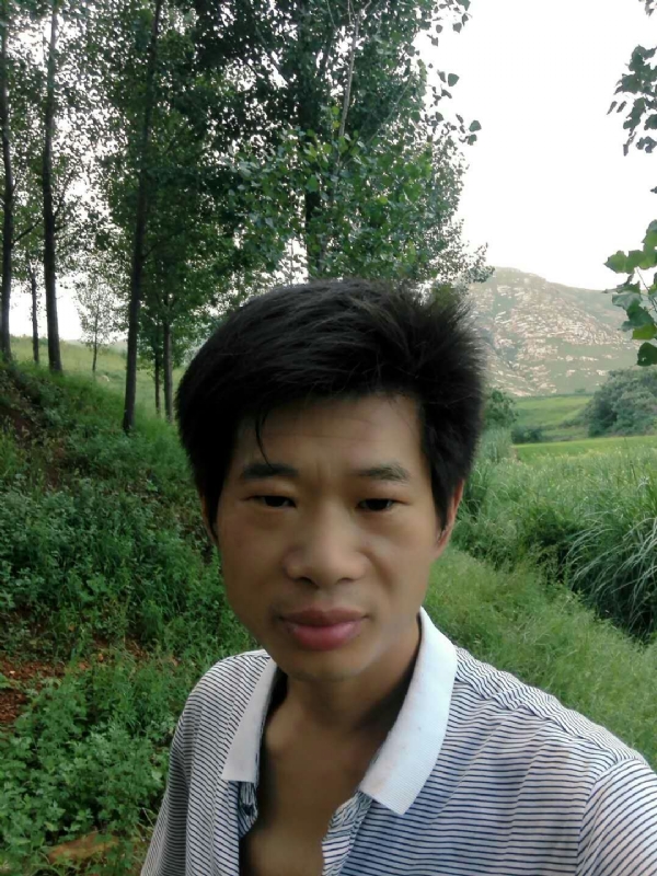 好男儿的第三张照片--河南闪婚服务中心